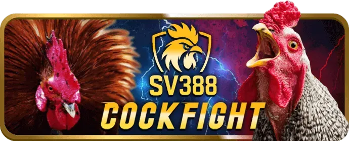 Khuyến mãi chào mừng thành viên mới 555win